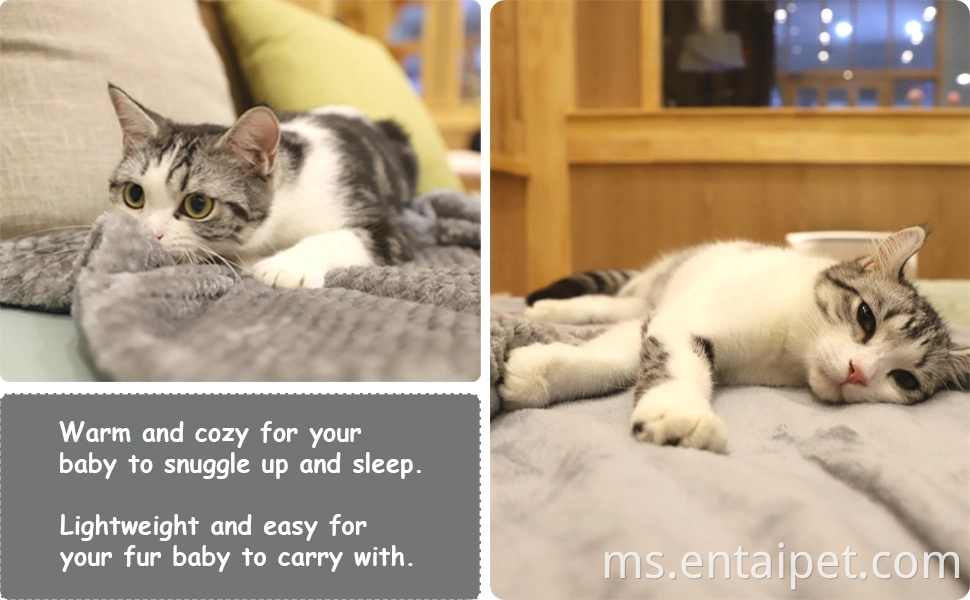 Selimut anjing bulu premium, lemparan haiwan peliharaan yang lembut dan hangat untuk anjing & kucing